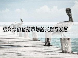 绍兴绿植租摆市场的兴起与发展