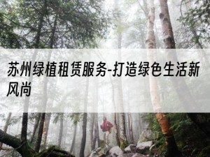 苏州绿植租赁服务-打造绿色生活新风尚