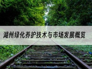 湖州绿化养护技术与市场发展概览