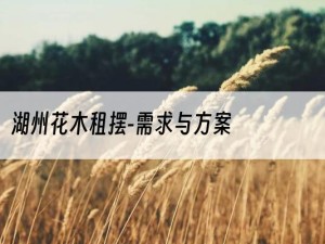 湖州花木租摆-需求与方案