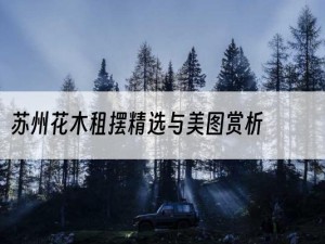 苏州花木租摆精选与美图赏析