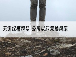 无锡绿植租赁-公司以绿意换风采