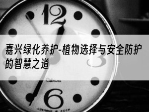 嘉兴绿化养护-植物选择与安全防护的智慧之道