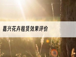 嘉兴花卉租赁效果评价