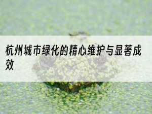 杭州城市绿化的精心维护与显著成效