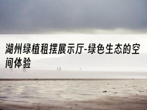 湖州绿植租摆展示厅-绿色生态的空间体验