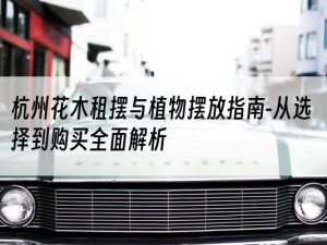 杭州花木租摆与植物摆放指南-从选择到购买全面解析