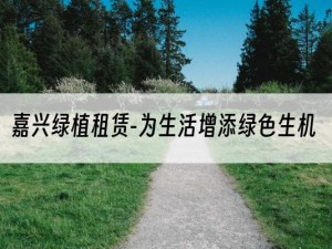 嘉兴绿植租赁-为生活增添绿色生机