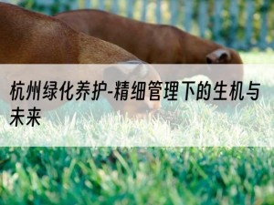 杭州绿化养护-精细管理下的生机与未来