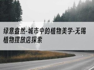 绿意盎然-城市中的植物美学-无锡植物摆放店探索