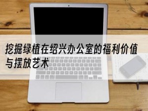 挖掘绿植在绍兴办公室的福利价值与摆放艺术