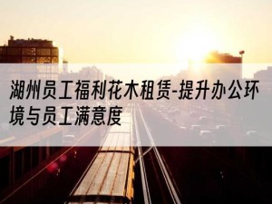 湖州员工福利花木租赁-提升办公环境与员工满意度