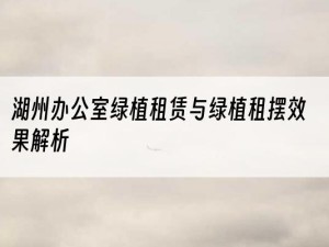 湖州办公室绿植租赁与绿植租摆效果解析