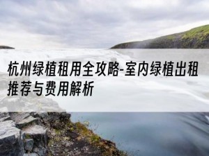 杭州绿植租用全攻略-室内绿植出租推荐与费用解析