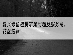 嘉兴绿植租赁常见问题及服务商、花盆选择