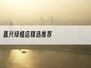 嘉兴绿植店精选推荐