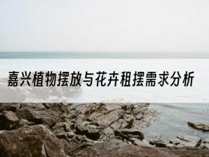 嘉兴植物摆放与花卉租摆需求分析