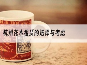 杭州花木租赁的选择与考虑