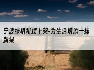 宁波绿植租摆上架-为生活增添一抹新绿