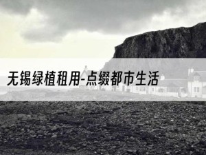 无锡绿植租用-点缀都市生活