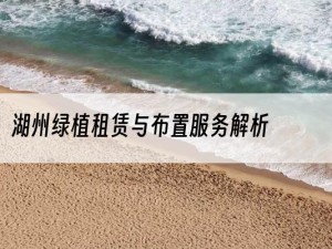 湖州绿植租赁与布置服务解析