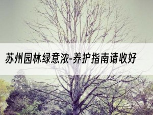 苏州园林绿意浓-养护指南请收好