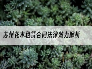 苏州花木租赁合同法律效力解析