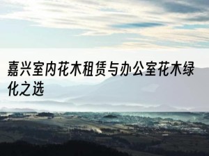 嘉兴室内花木租赁与办公室花木绿化之选