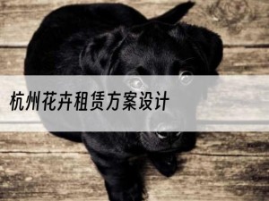 杭州花卉租赁方案设计