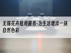 无锡花卉租用服务-为生活增添一抹自然色彩