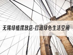 无锡绿植摆放店-打造绿色生活空间