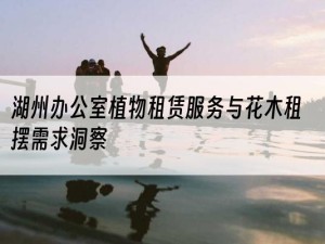 湖州办公室植物租赁服务与花木租摆需求洞察