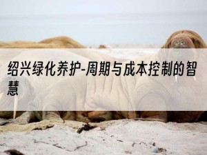 绍兴绿化养护-周期与成本控制的智慧