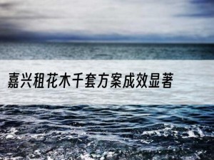 嘉兴租花木千套方案成效显著