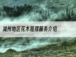 湖州地区花木租摆服务介绍