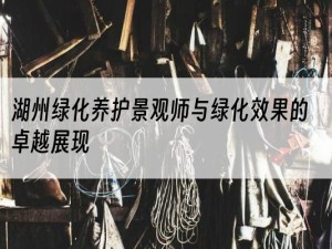 湖州绿化养护景观师与绿化效果的卓越展现