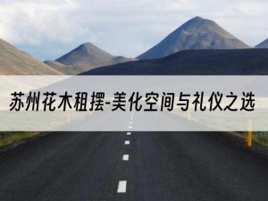苏州花木租摆-美化空间与礼仪之选
