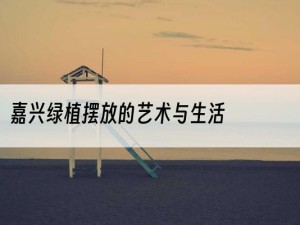 嘉兴绿植摆放的艺术与生活