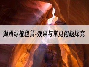 湖州绿植租赁-效果与常见问题探究