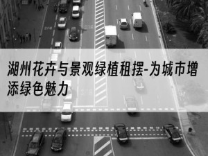 湖州花卉与景观绿植租摆-为城市增添绿色魅力