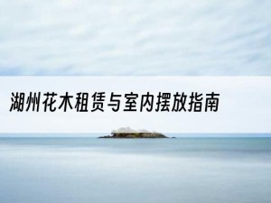 湖州花木租赁与室内摆放指南