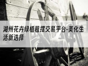 湖州花卉绿植租摆交易平台-美化生活新选择