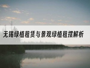 无锡绿植租赁与景观绿植租摆解析
