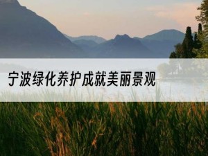 宁波绿化养护成就美丽景观