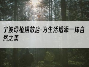 宁波绿植摆放店-为生活增添一抹自然之美