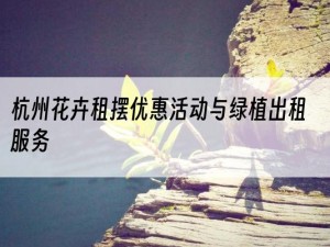 杭州花卉租摆优惠活动与绿植出租服务