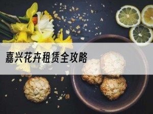 嘉兴花卉租赁全攻略