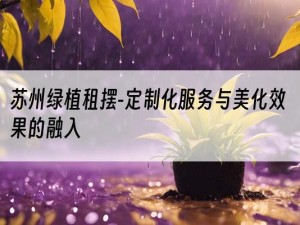 苏州绿植租摆-定制化服务与美化效果的融入