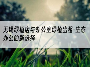 无锡绿植店与办公室绿植出租-生态办公的新选择