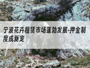 宁波花卉租赁市场蓬勃发展-押金制度成新宠